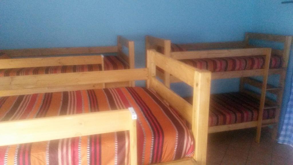 The Birches Backpacker Lodge Randburg Phòng bức ảnh