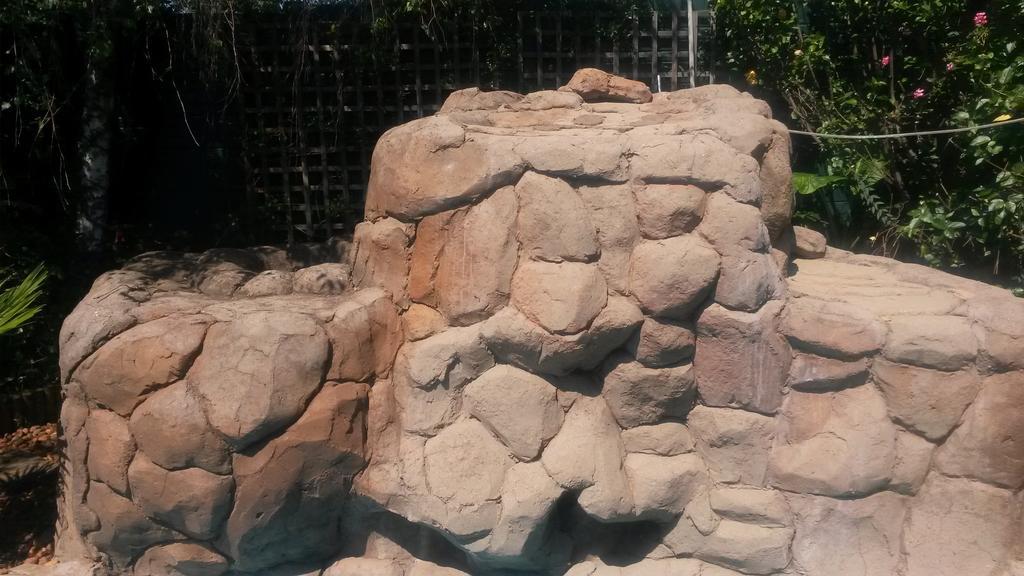 The Birches Backpacker Lodge Randburg Ngoại thất bức ảnh