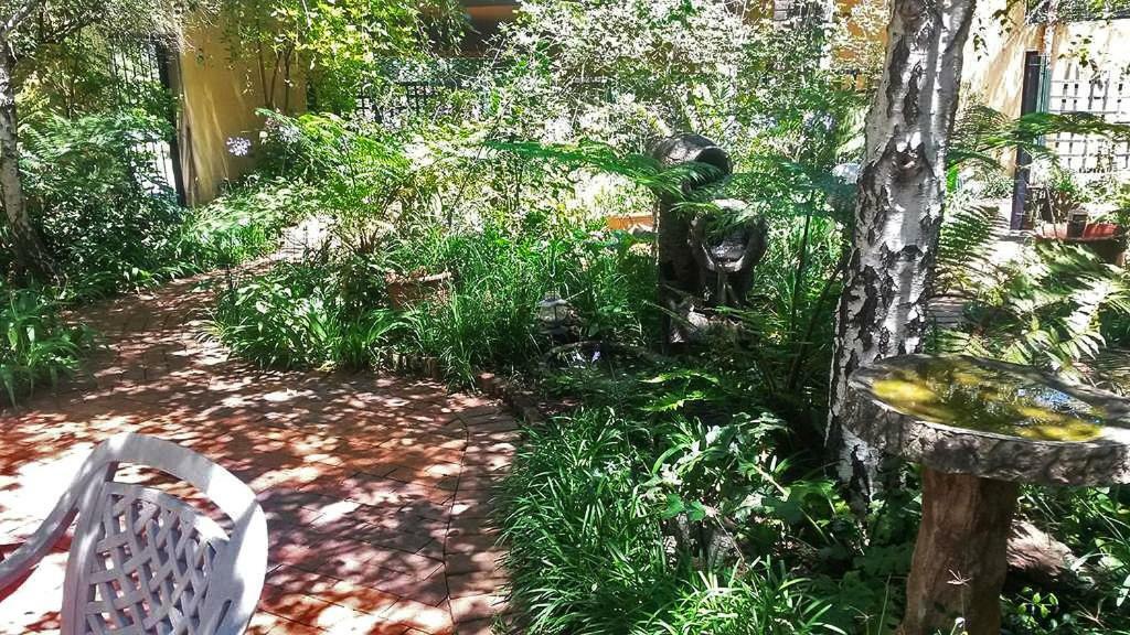 The Birches Backpacker Lodge Randburg Ngoại thất bức ảnh