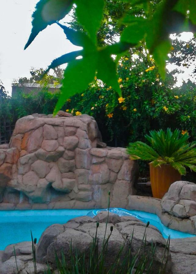 The Birches Backpacker Lodge Randburg Ngoại thất bức ảnh